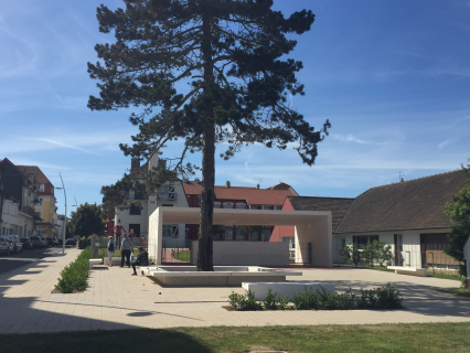 Jardins et espaces verts, éclairage et habillage sonore, clôtures et  décoration - ADN Création d'Espaces Extérieurs